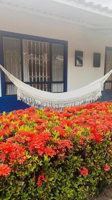 Grandiosa Casa-jacuzzi Privado * Flandes